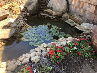 Hobbit House. Welcome to The Shire!