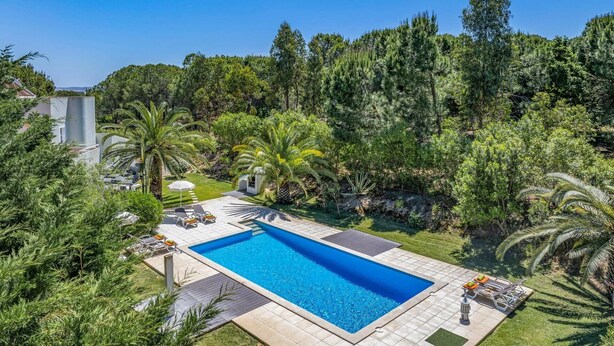 Piscina retangular com deck revestido, rodeada por vegetação exuberante e palmeiras.