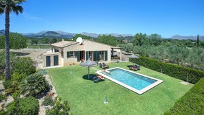 A modern house with a swimming pool, surrounded by a well-maintained lawn and palm trees. - Villa Figueral by Villa Plus (Mallorca)