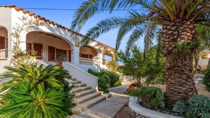 A white building with a stone staircase leading to a porch, surrounded by palm trees and other greenery.