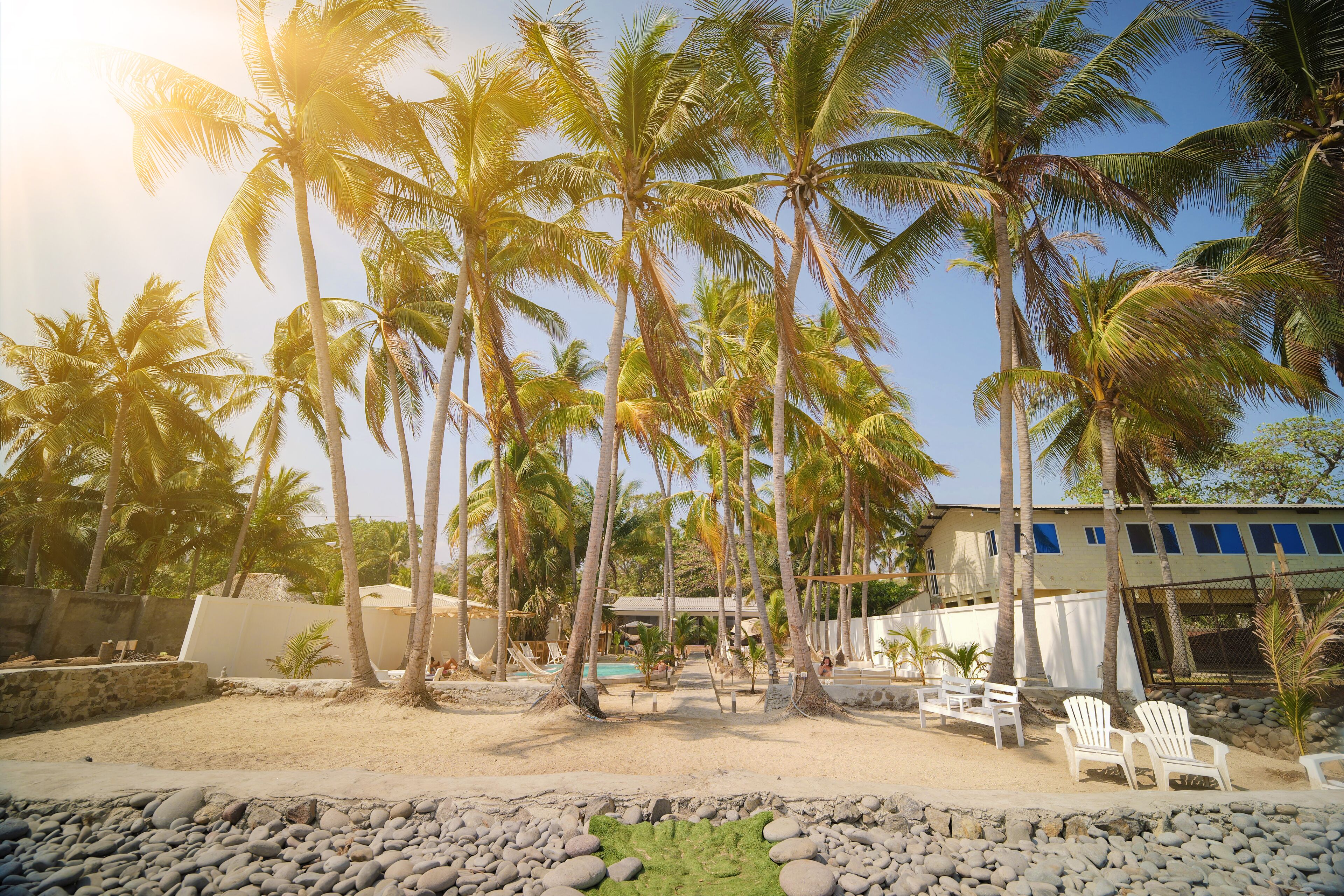 A resort with palm trees, a pool, and white chairs.