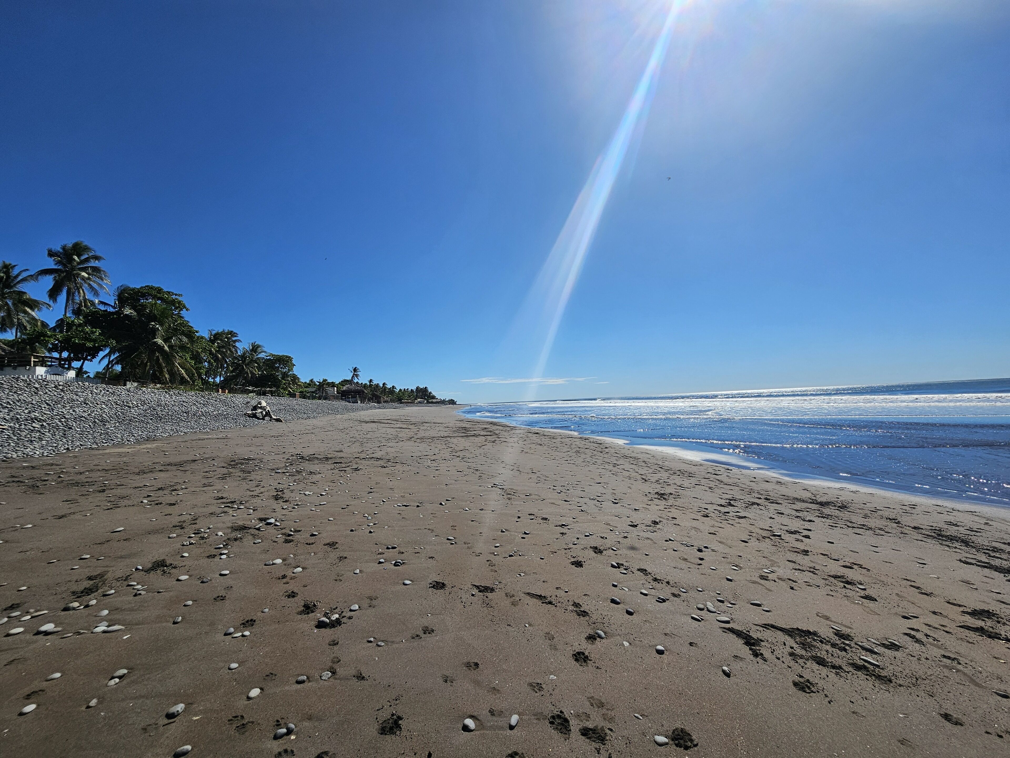 Una playa con cielo despejado, palmeras y un litoral rocoso.