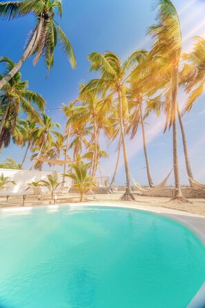 Une piscine entourée de palmiers et bordée d’un mur blanc.