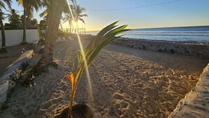Una playa con palmeras, un sendero de arena y una guirnalda de luces.