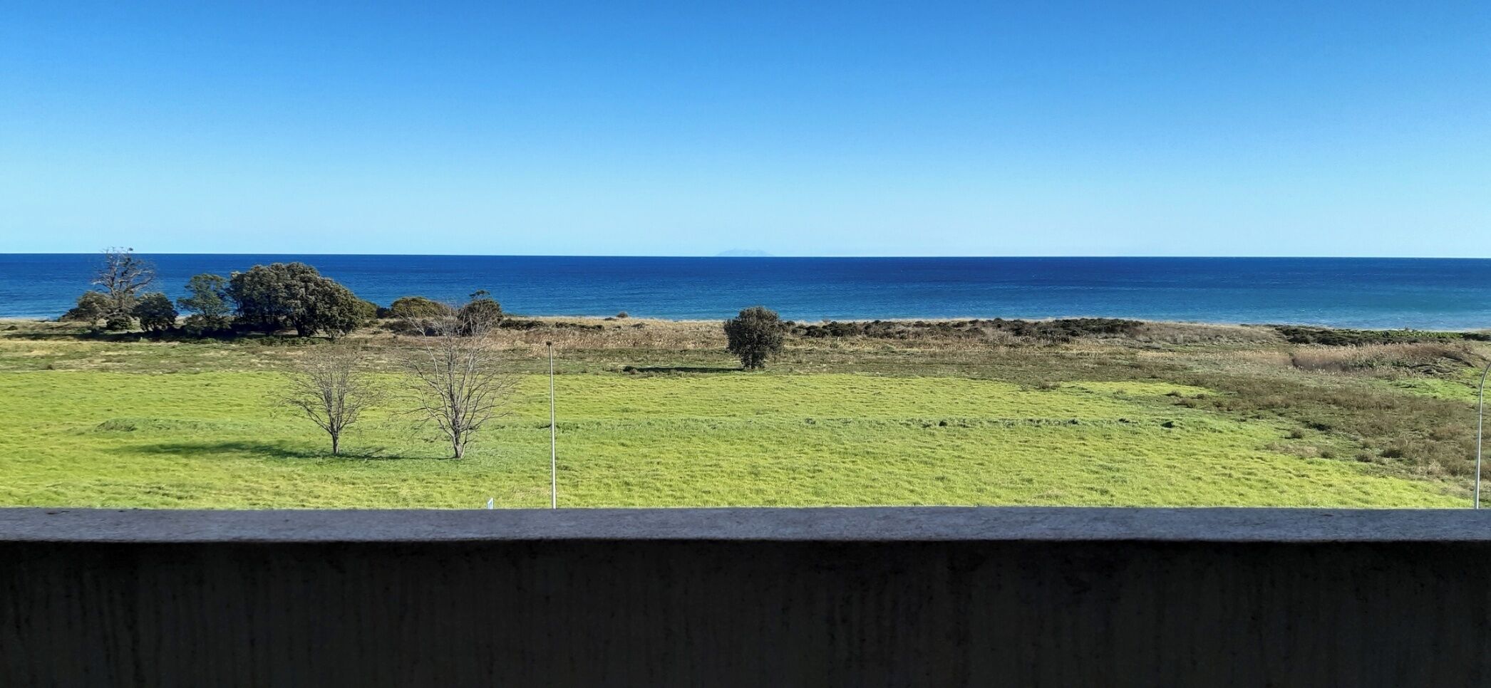 Un paisaje costero con un campo cubierto de hierba, algunos árboles y una vista despejada del océano.