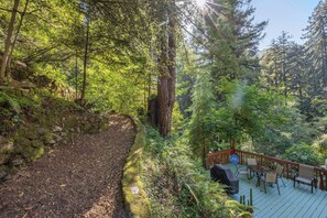Eine Terrasse mit Gartenmöbeln, umgeben von dichtem Wald und einem unbefestigten Pfad.