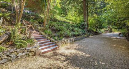 Relaxing redwood forest home with hot tub and sauna at Lagunitas Creek