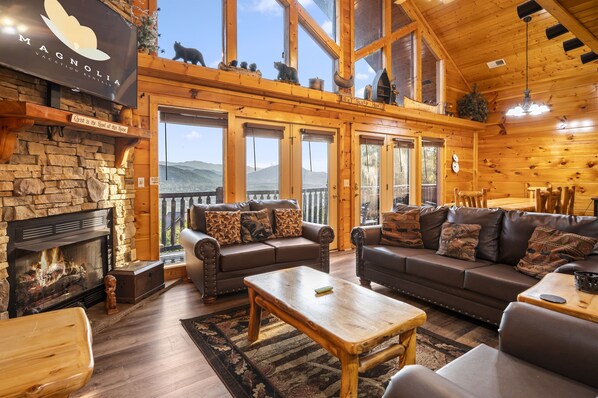 Smart TV, fireplace, video library