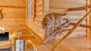 Interieur van een blokhut, met een kat op een houten balk.