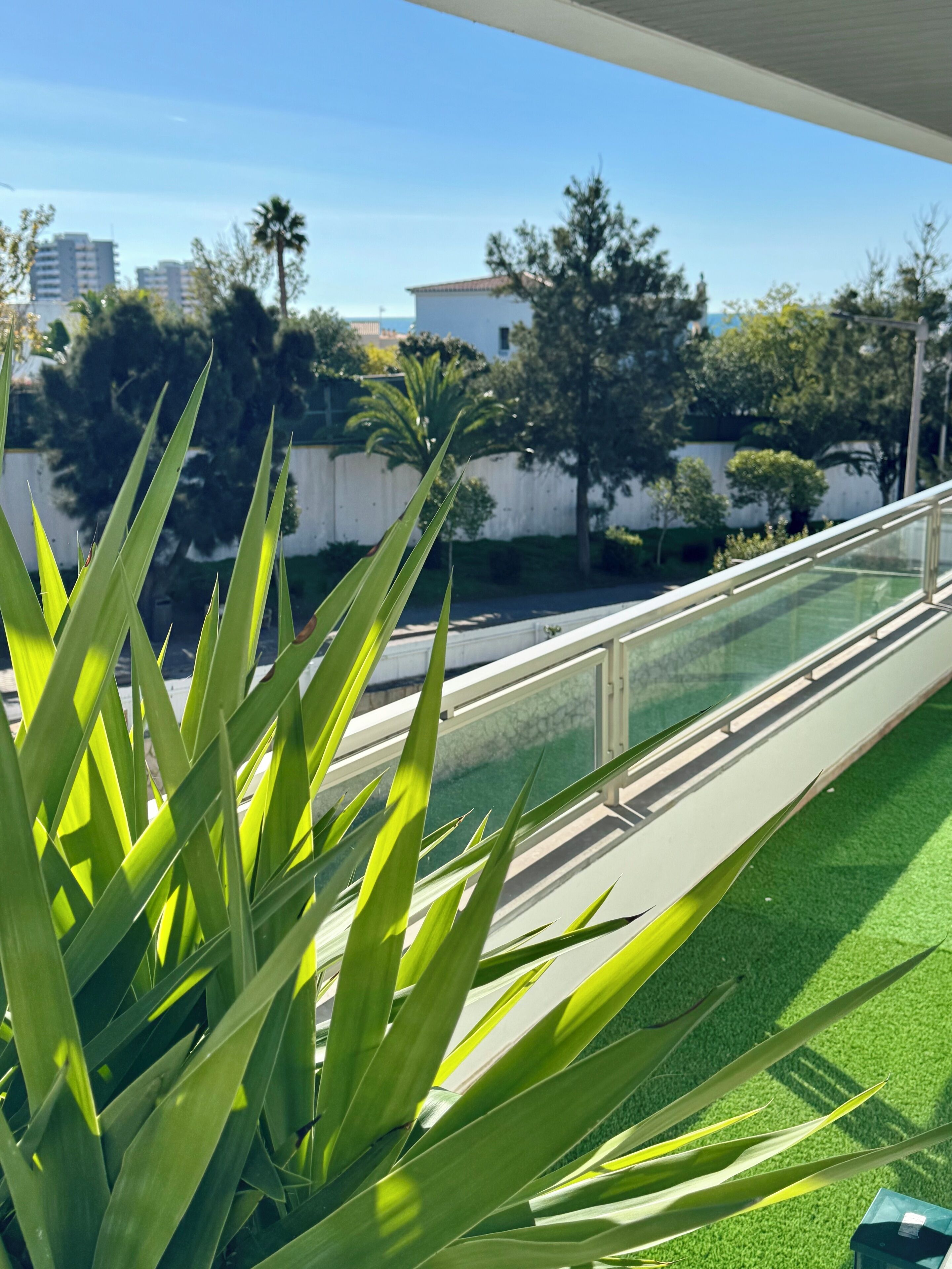 Vista desde la habitación