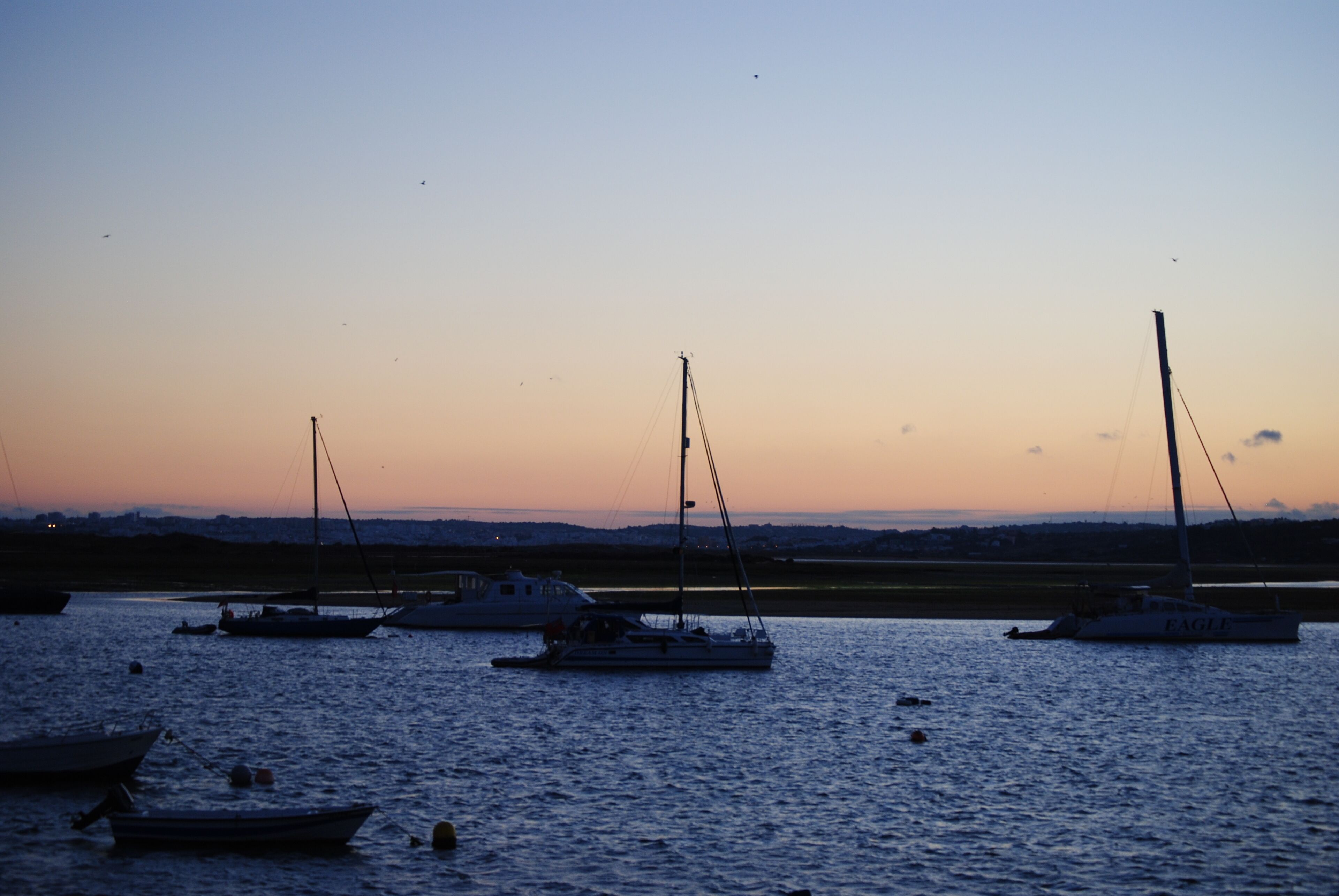 A marina with several sailboats docked.