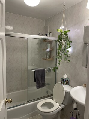 Towels, soap, toilet paper - Beautiful Garden Apartment in Prime Fort Greene (Brooklyn)