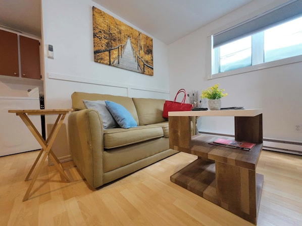 TV, offices - Logis near university, parking & Wi-Fi (Rouyn-Noranda)