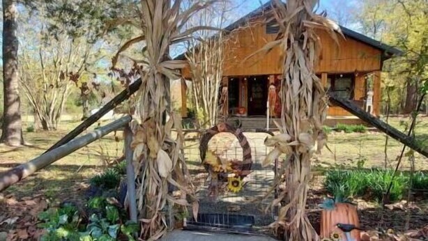 A pathway leading to a wooden cabin surrounded by trees and a decorative archway made of branches and leaves.