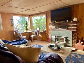 Televisio, takka, DVD-soitin, kirjoja