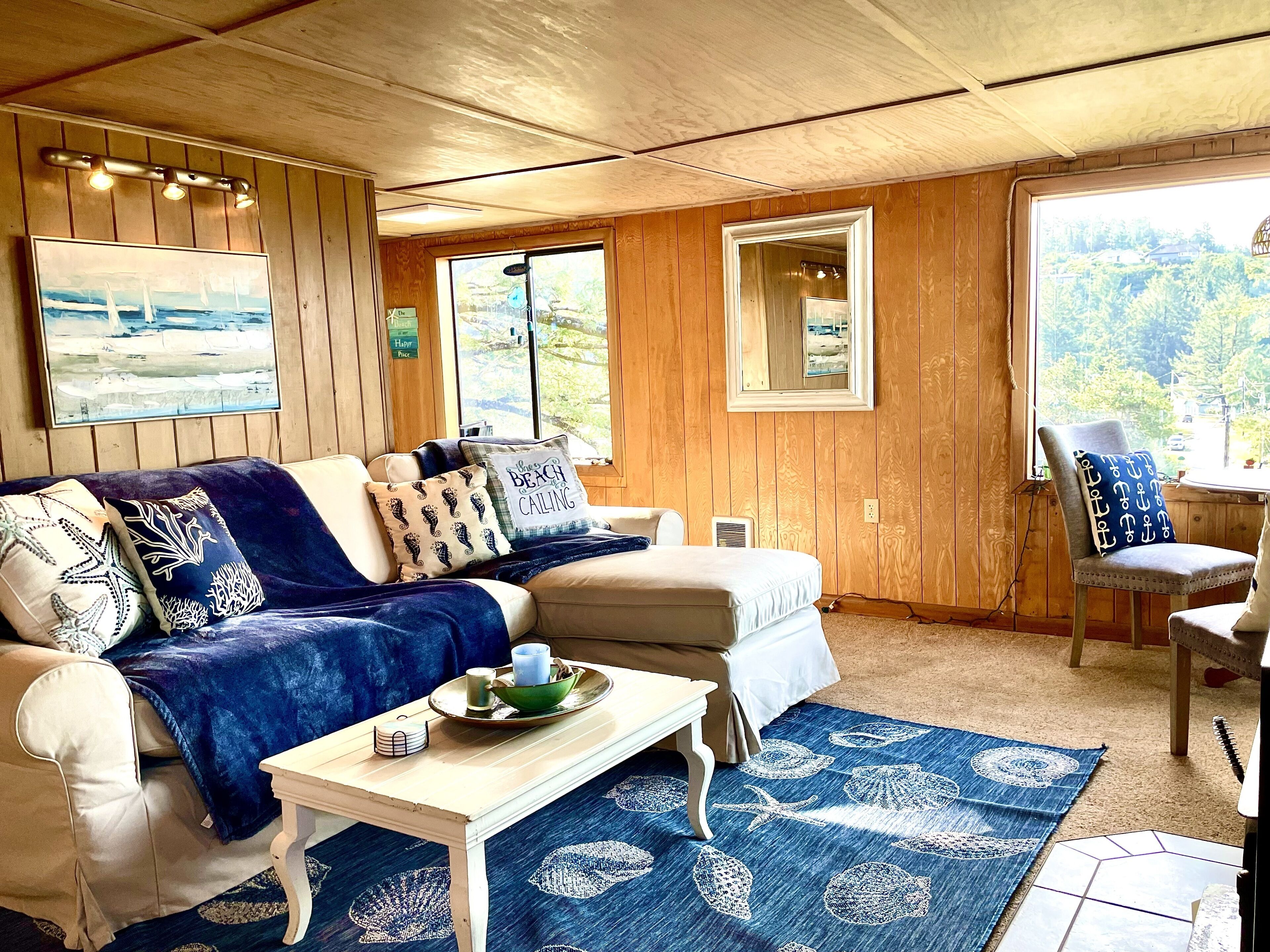 Televisio, takka, DVD-soitin, kirjoja