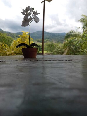 Vue depuis lâhĂ©bergement