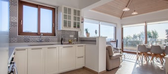 Kladissos Family Seaside Villa with heated pool, hydromassage and barbecue!