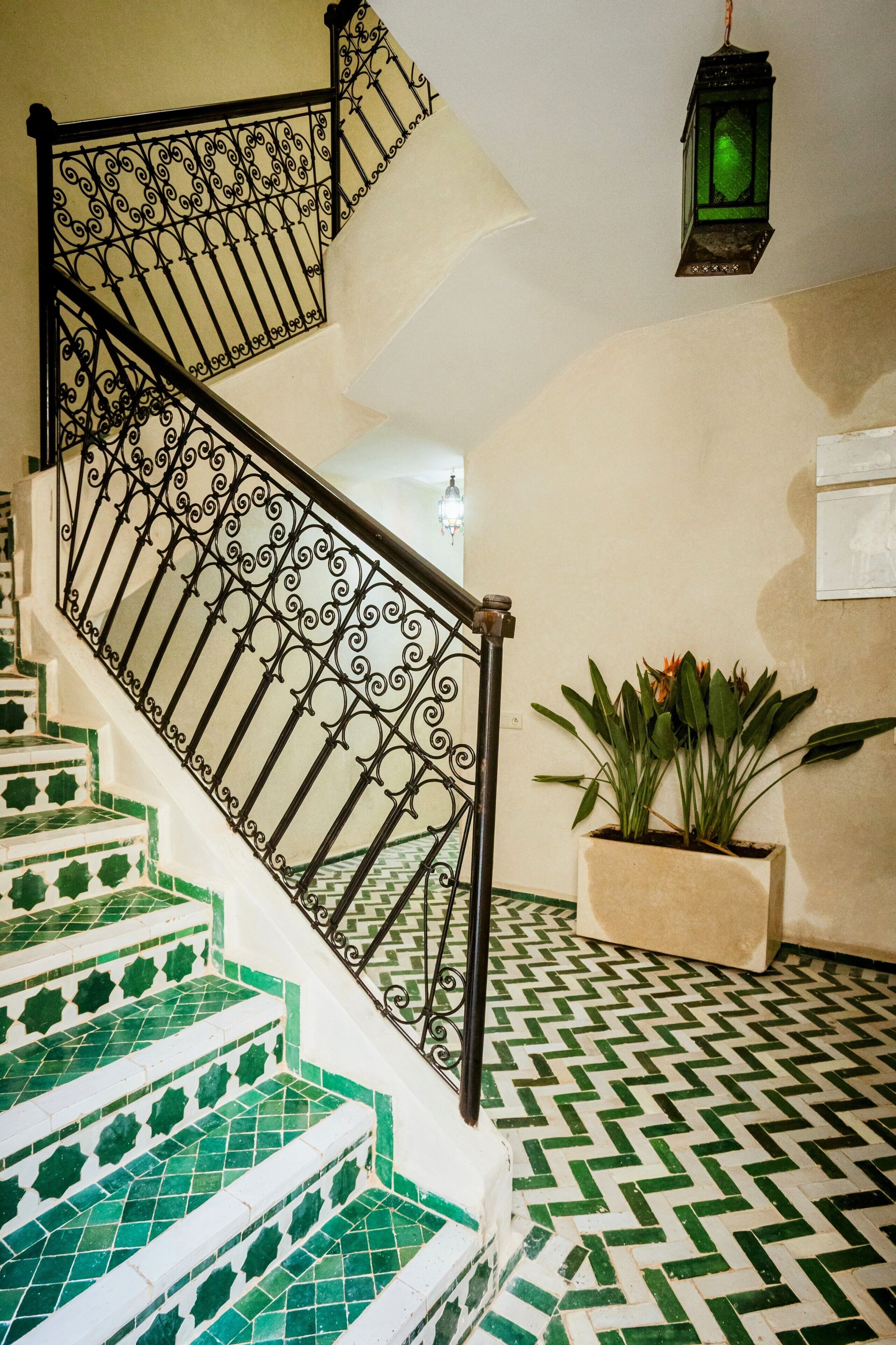 Photo - Riad Zazz
