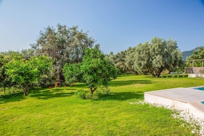 Parco della struttura