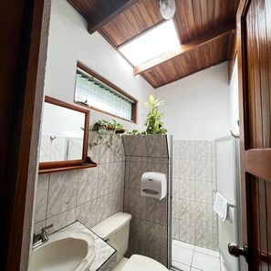 A bathroom with a toilet, sink, shower, and a mirror. - Hotel Villa Fortuna  (La Fortuna)