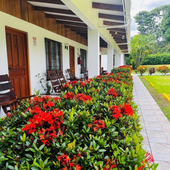 Basic Double or Twin Room | Bar mini, peti besi dalam bilik, Wi-fi percuma, cadar katil