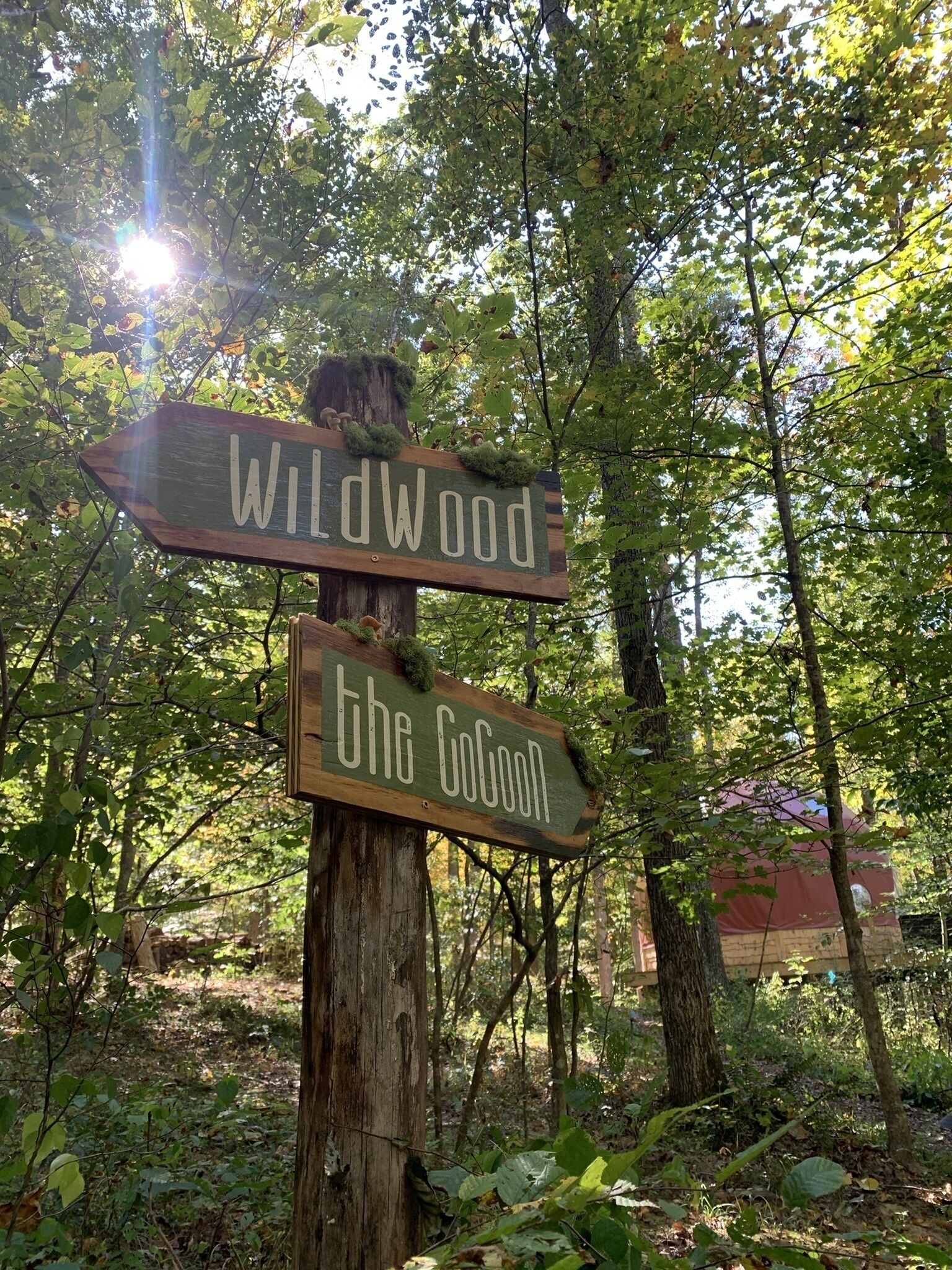 Ein hölzerner Wegweiser mit zwei Schildern, die nach 'Wildwood' und 'The Gorge' zeigen.