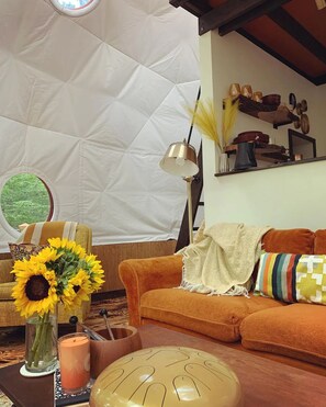 Fireplace, books, music library