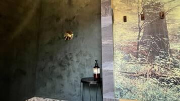 Shower, eco-friendly toiletries, hair dryer, towels