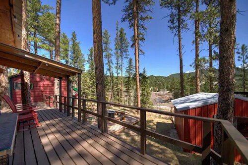 Cozy cabin in the Black Hills. Pet friendly!