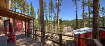 Cozy cabin in the Black Hills. Pet friendly!