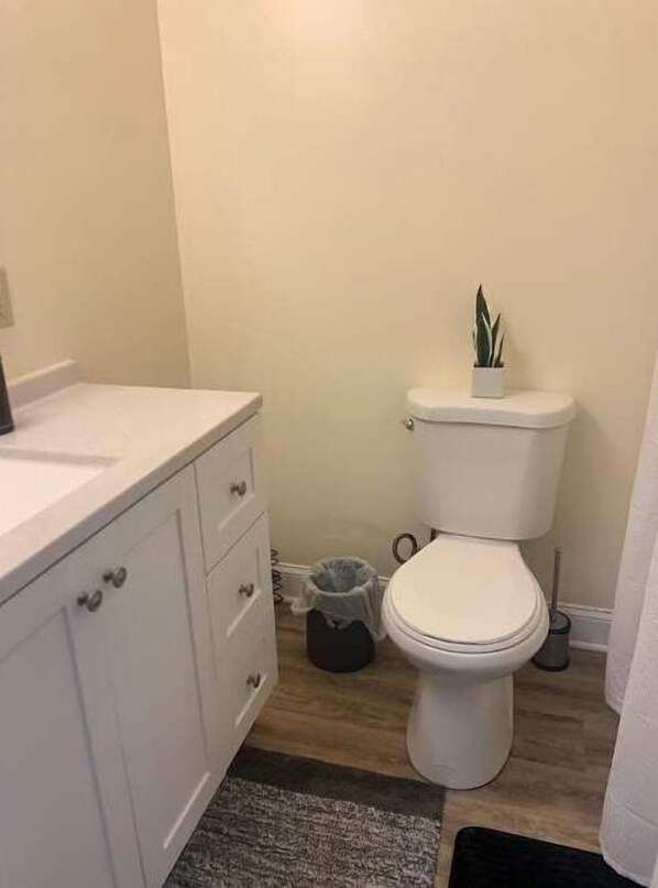 Bathroom features a toilet, vanity with drawers, and a potted plant.