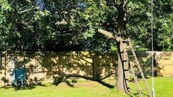 Área da propriedade