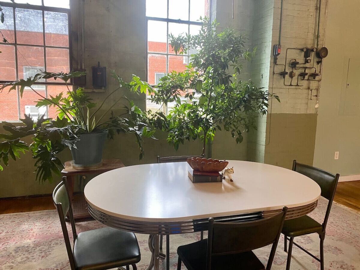 A round dining table with chairs, a potted plant, and a decorative bowl.