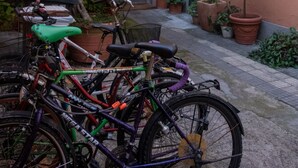 A courtyard with bicycles parked and potted plants. - DOMVS Ginori,Testaccio (Roma)