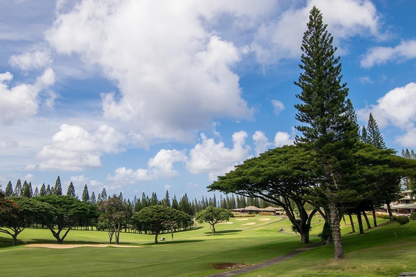 Kapalua 1 Bedroom Golf Villas Gold