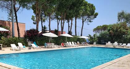 Pet friendly apartment