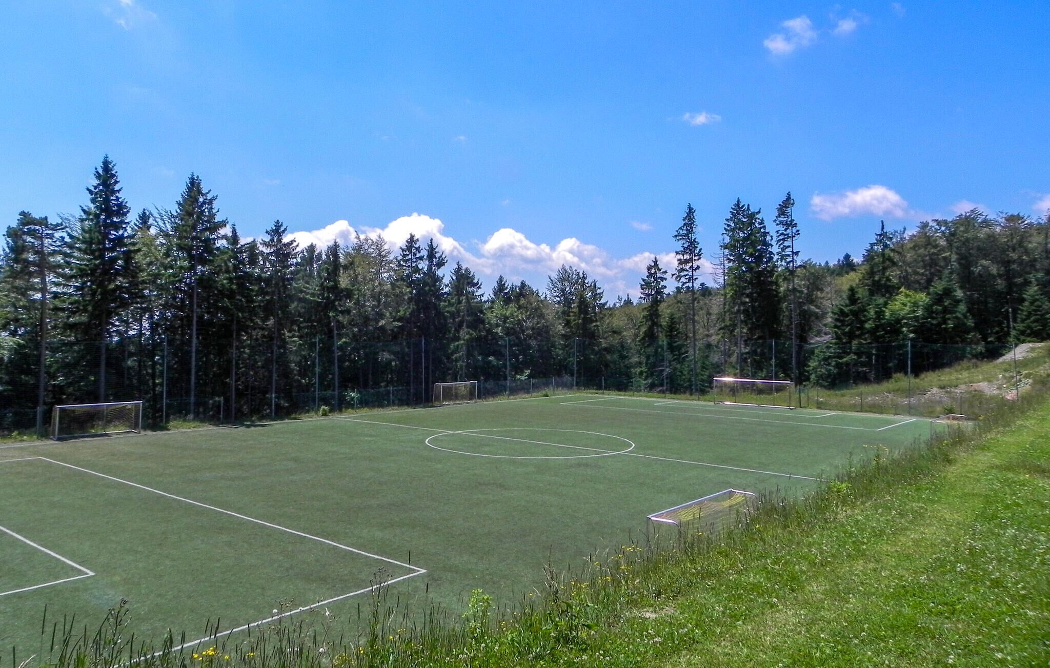 A soccer field with goals, surrounded by trees and a clear sky.