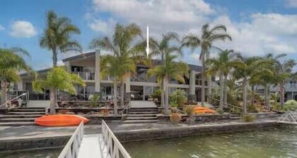 Hosts on the Coast Pelicans Coastal Perch