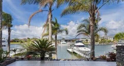 Hosts on the Coast Pelicans Coastal Perch