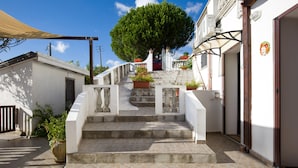 Un escalier menant à l’entrée d’un immeuble, avec un grand arbre devant.