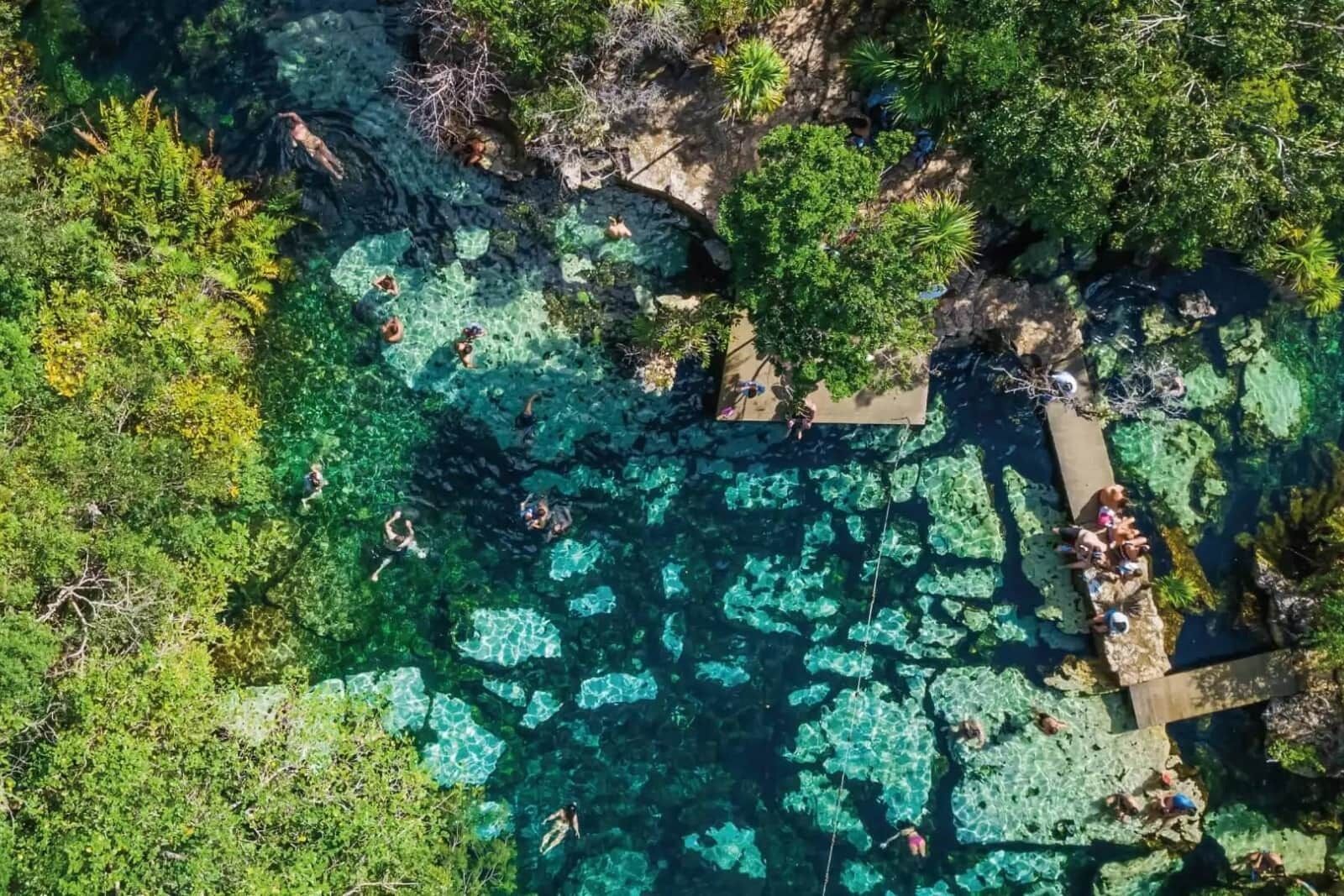 Eine Vogelperspektive auf ein Naturbad, umgeben von dichter Vegetation.