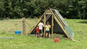 Kindergedeelte
