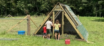 Relaxing farmhouse!  Enjoy farm animals, fishing and a picnic by the pond!
