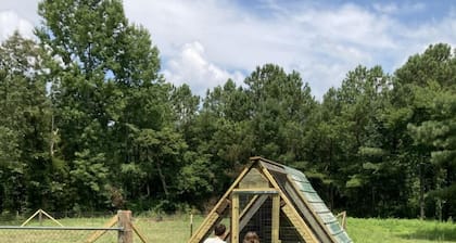 Relaxing farmhouse! Enjoy farm animals, fishing and a picnic by the pond!