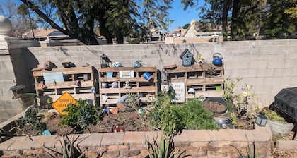 Quiet home next to Freestone Park & minutes from historic downtown Gilbert!