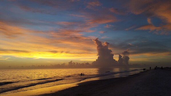 Une plage au coucher du soleil, avec des vagues et les silhouettes de personnes et d’animaux.
