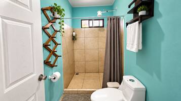 Une salle de bain avec une douche, des toilettes et un porte-serviettes.