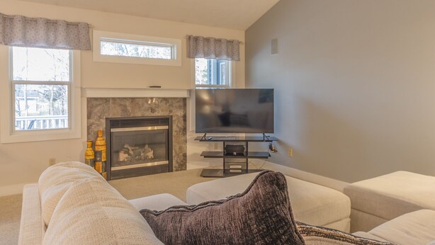 A living room with a fireplace, a television, and two sofas. - Bed & Birdie Near Golf Course & Downtown Saugatuck (Saugatuck)