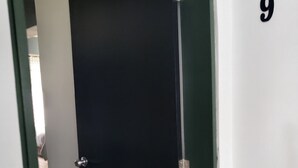 Puerta negra cerrada con manija plateada, marco verde y pared blanca con el número 9.